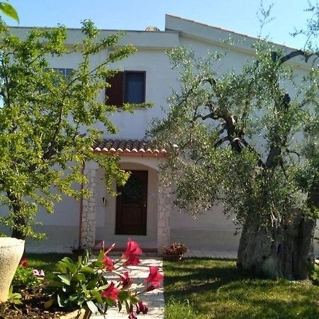 Borgo Cerasa Bed and Breakfast Βιέστε Εξωτερικό φωτογραφία