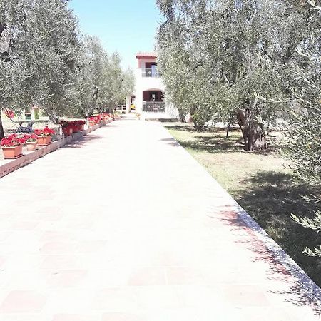 Borgo Cerasa Bed and Breakfast Βιέστε Εξωτερικό φωτογραφία