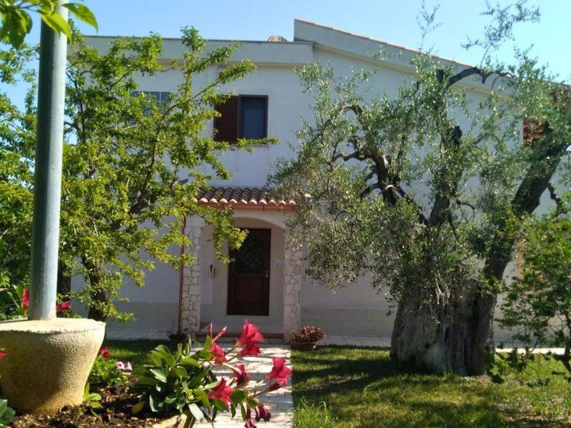 Borgo Cerasa Bed and Breakfast Βιέστε Εξωτερικό φωτογραφία