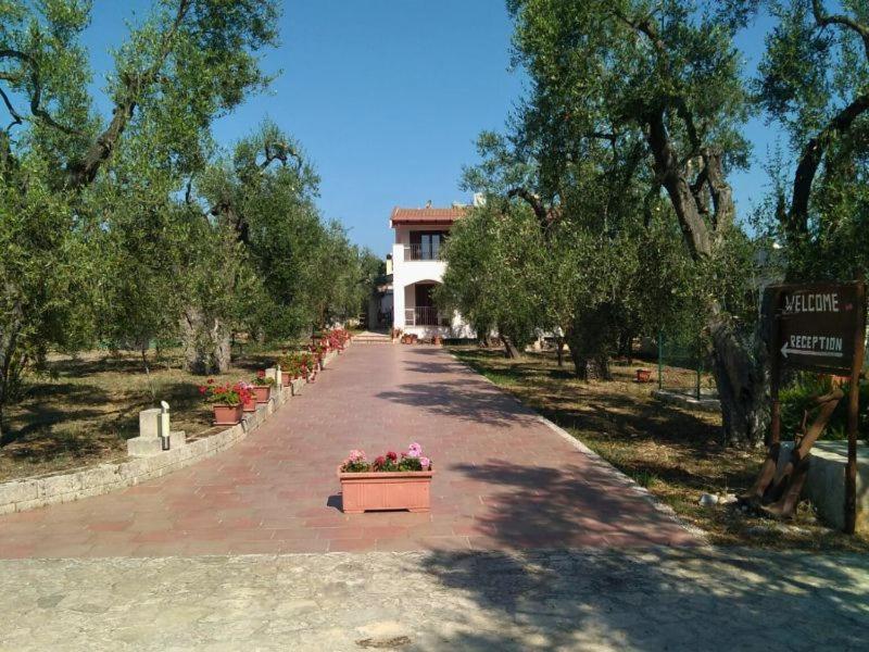Borgo Cerasa Bed and Breakfast Βιέστε Εξωτερικό φωτογραφία