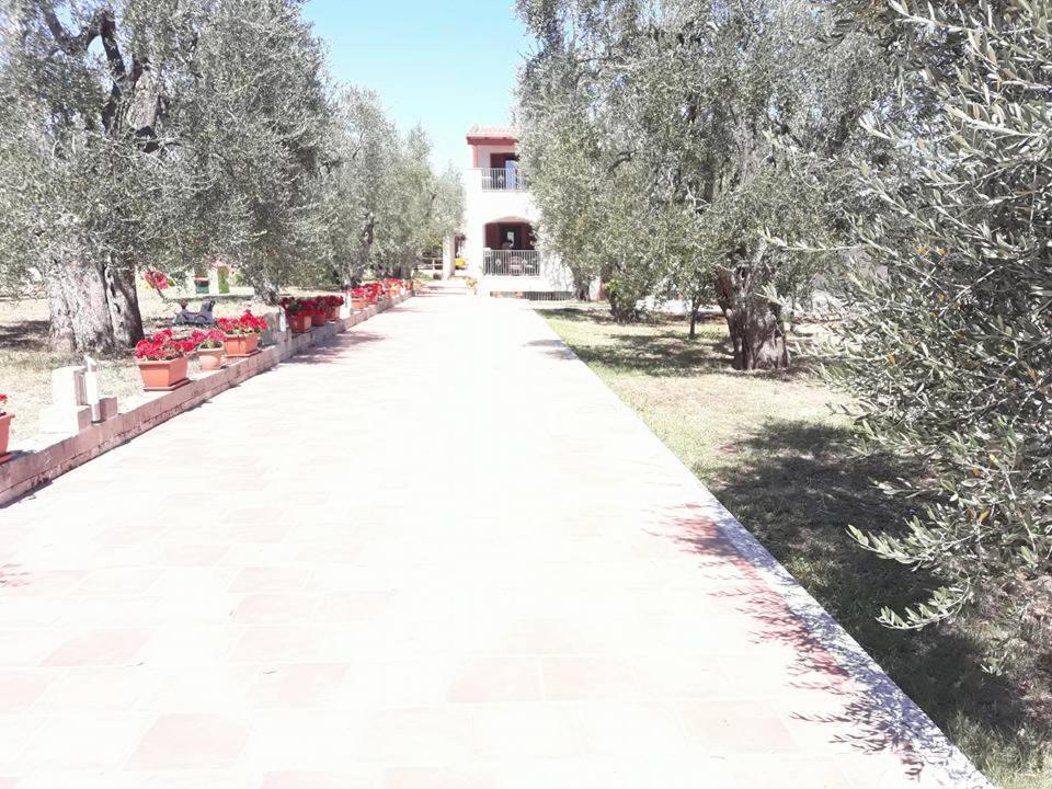 Borgo Cerasa Bed and Breakfast Βιέστε Εξωτερικό φωτογραφία