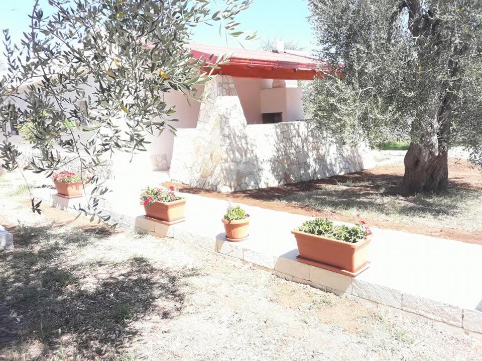 Borgo Cerasa Bed and Breakfast Βιέστε Εξωτερικό φωτογραφία